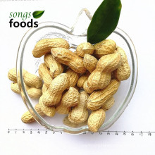 Peanuts Prices/Groundnut Prices 1kg Price For Sale of Peanuts